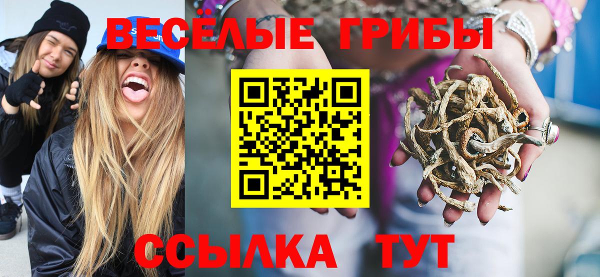 Галлюциногенные грибы MAGIC MUSHROOMS Красногорск