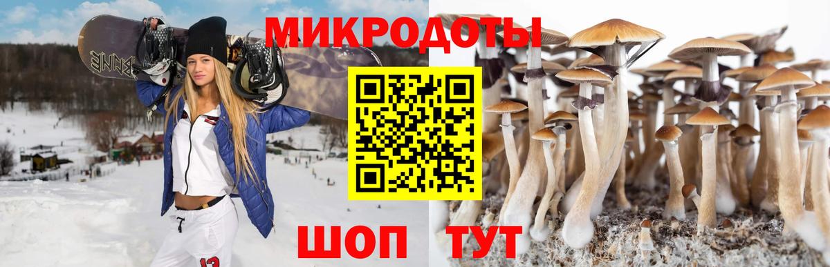 Галлюциногенные грибы мухоморы  Псилоцибиновые грибы мухоморы  Красногорск  Вход с VPN 